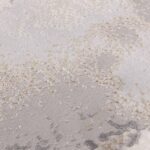 Asiatic vloerkleed Stellar ST03 4