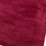 Asiatic Lulu sorbet 1