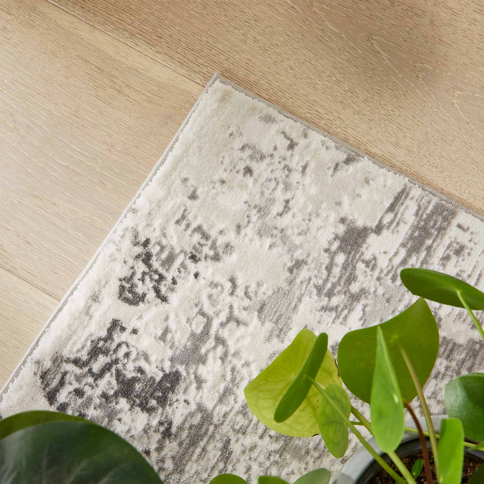 Concept Looms vloerkleed Olivia OLI105 GREY interior 3